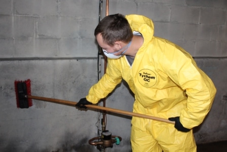 cleaning mold foundation water basement kenosha wisconsin