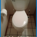 Odd Job Larry toilet and plumbing repair