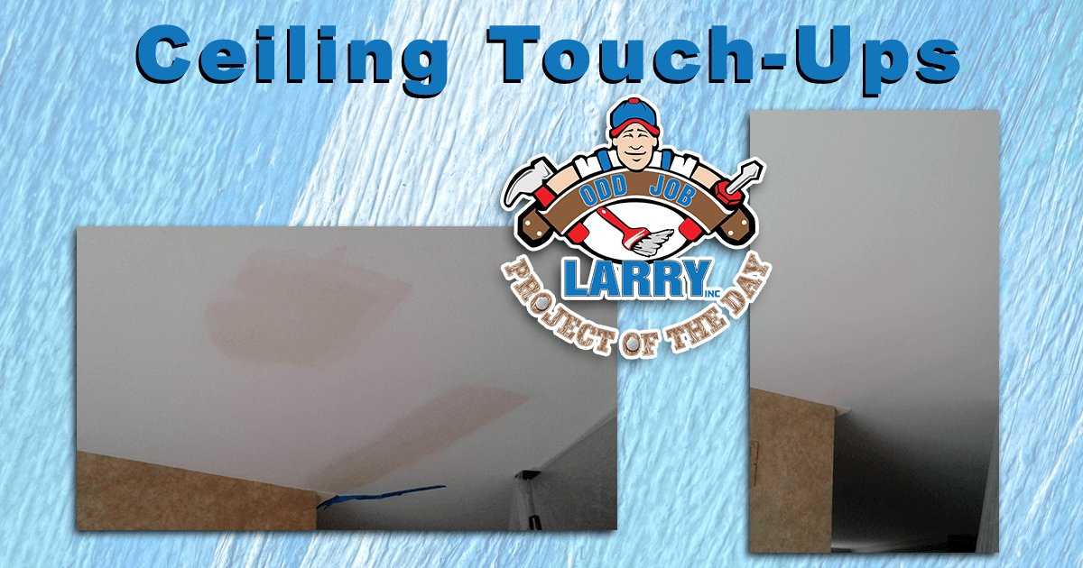 Ceiling Paint Touch-Up