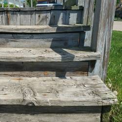 wooden steps